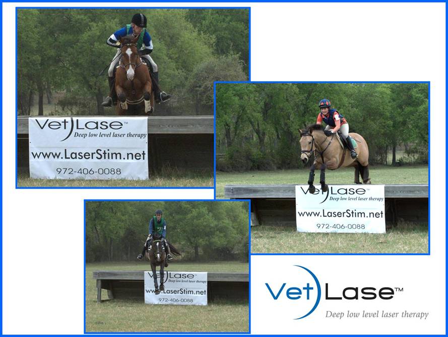 VetLase Event Sponsorship